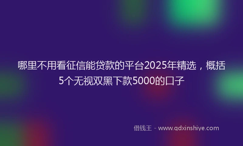 哪里不用看征信能贷款的平台2025年精选，概括5个无视双黑下款5000的口子