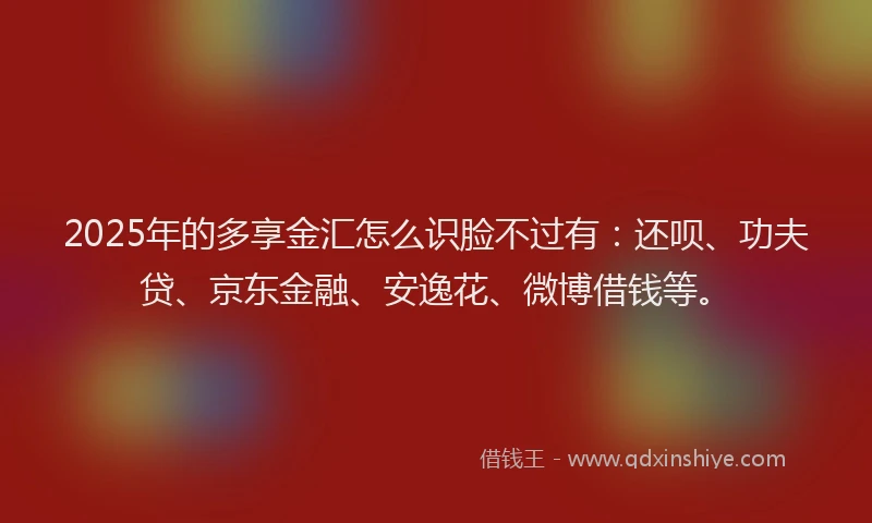 2025年的多享金汇怎么识脸不过有：还呗、功夫贷、京东金融、安逸花、微博借钱等。