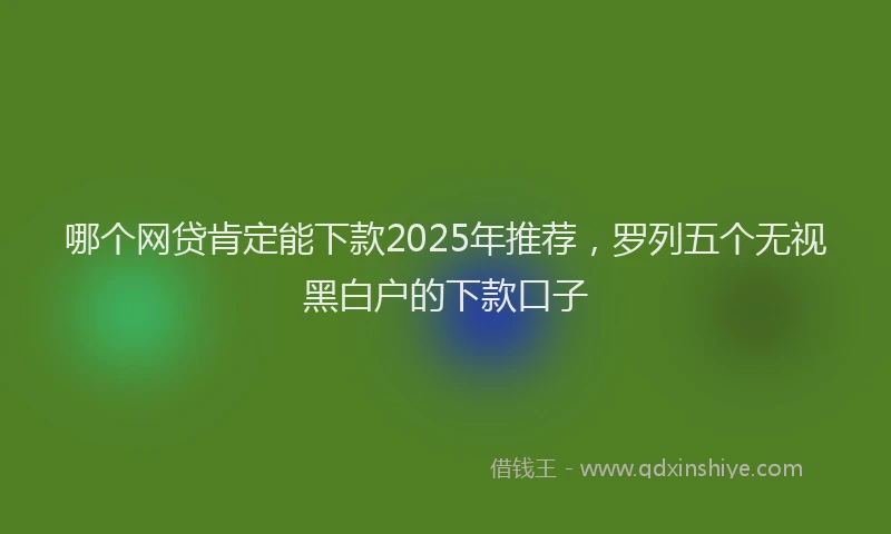 哪个网贷肯定能下款2025年推荐，罗列五个无视黑白户的下款口子