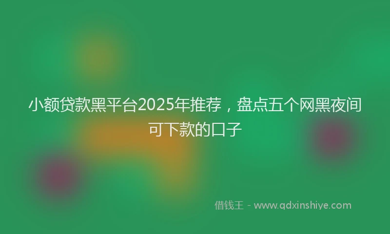 小额贷款黑平台2025年推荐，盘点五个网黑夜间可下款的口子