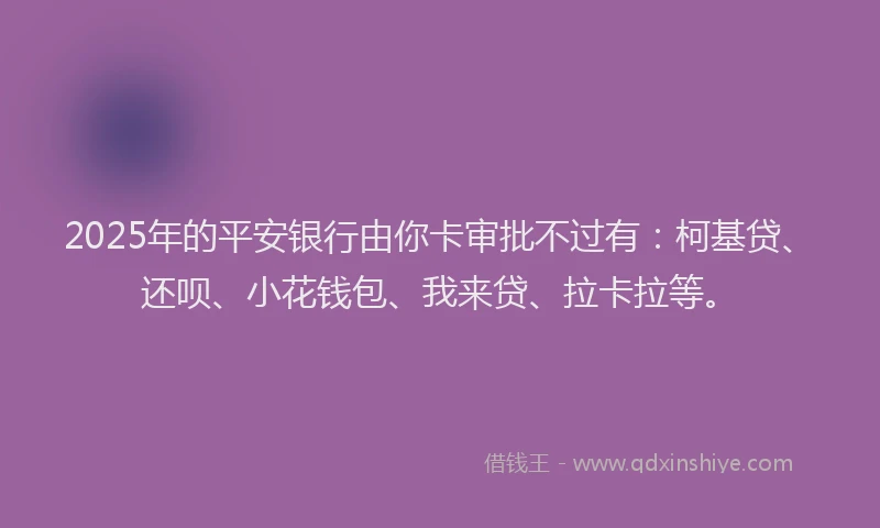 2025年的平安银行由你卡审批不过有：柯基贷、还呗、小花钱包、我来贷、拉卡拉等。