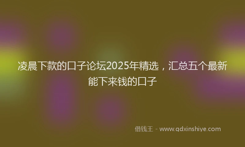 凌晨下款的口子论坛2025年精选，汇总五个最新能下来钱的口子
