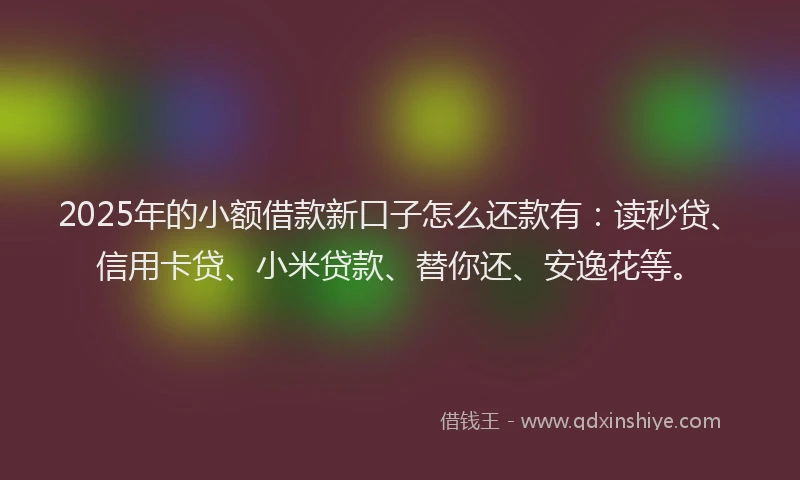 2025年的小额借款新口子怎么还款有：读秒贷、信用卡贷、小米贷款、替你还、安逸花等。
