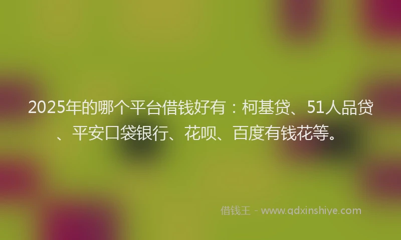 2025年的哪个平台借钱好有：柯基贷、51人品贷、平安口袋银行、花呗、百度有钱花等。