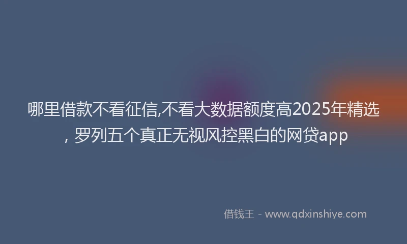 哪里借款不看征信,不看大数据额度高2025年精选，罗列五个真正无视风控黑白的网贷app