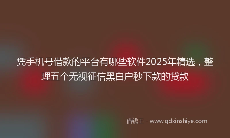 凭手机号借款的平台有哪些软件2025年精选，整理五个无视征信黑白户秒下款的贷款
