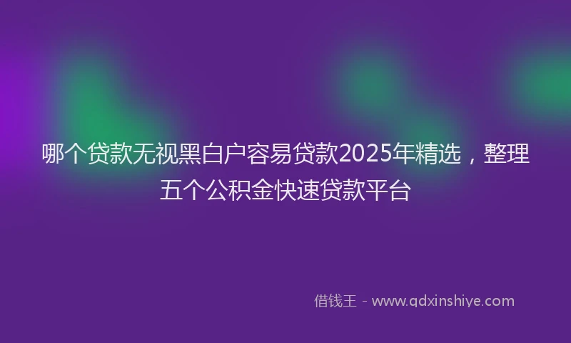 哪个贷款无视黑白户容易贷款2025年精选，整理五个公积金快速贷款平台