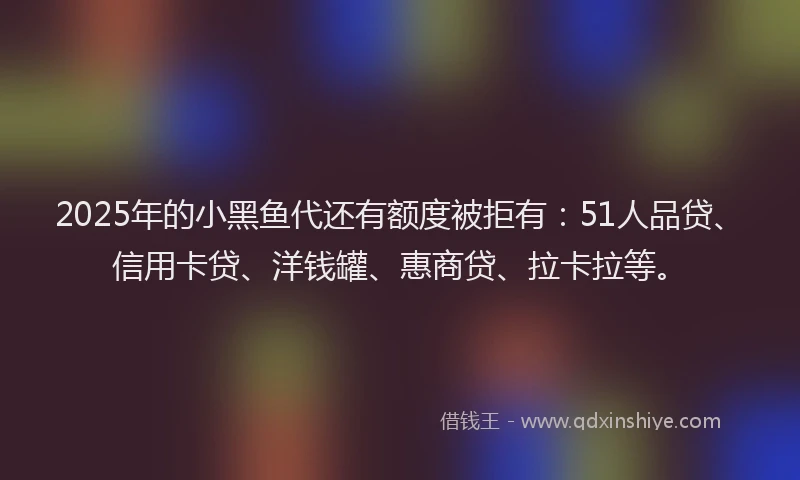 2025年的小黑鱼代还有额度被拒有：51人品贷、信用卡贷、洋钱罐、惠商贷、拉卡拉等。