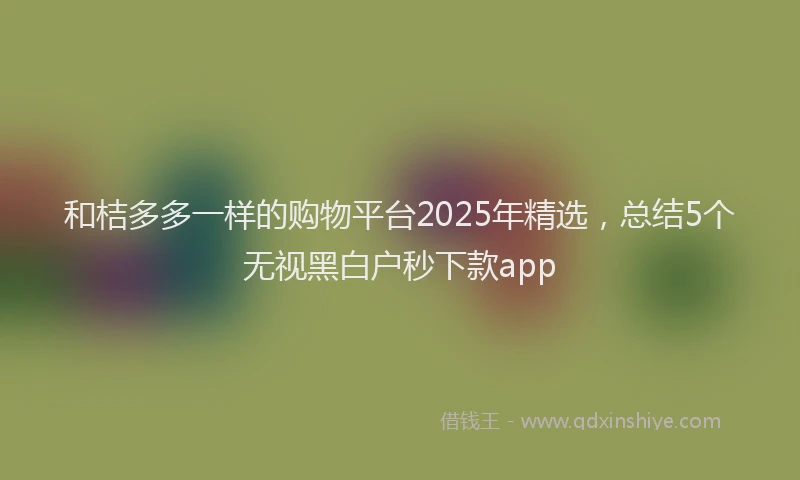和桔多多一样的购物平台2025年精选，总结5个无视黑白户秒下款app
