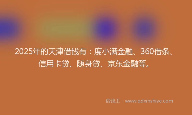 2025年的天津借钱有：度小满金融、360借条、信用卡贷、随身贷、京东金融等。