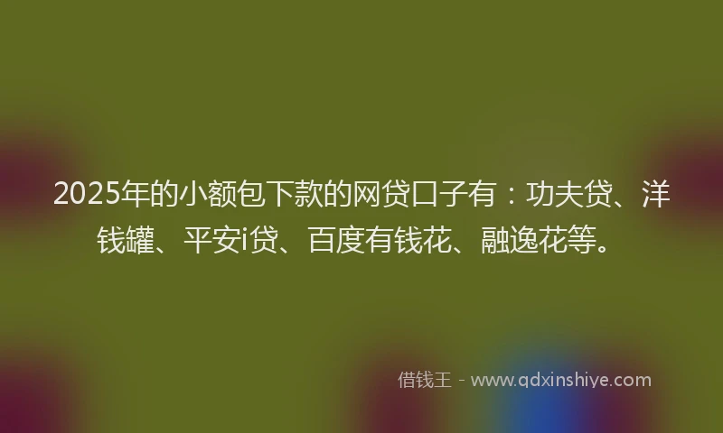 2025年的小额包下款的网贷口子有：功夫贷、洋钱罐、平安i贷、百度有钱花、融逸花等。