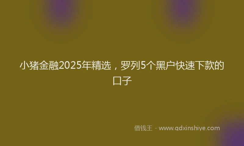 小猪金融2025年精选，罗列5个黑户快速下款的口子