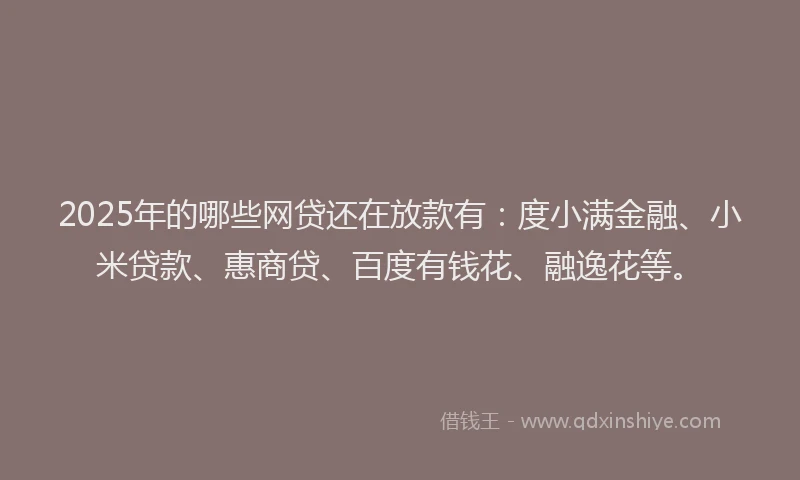 2025年的哪些网贷还在放款有：度小满金融、小米贷款、惠商贷、百度有钱花、融逸花等。