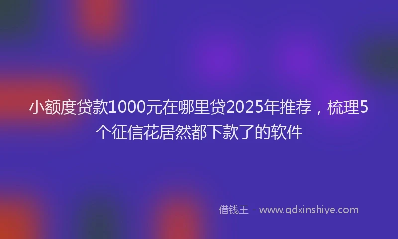 小额度贷款1000元在哪里贷2025年推荐，梳理5个征信花居然都下款了的软件