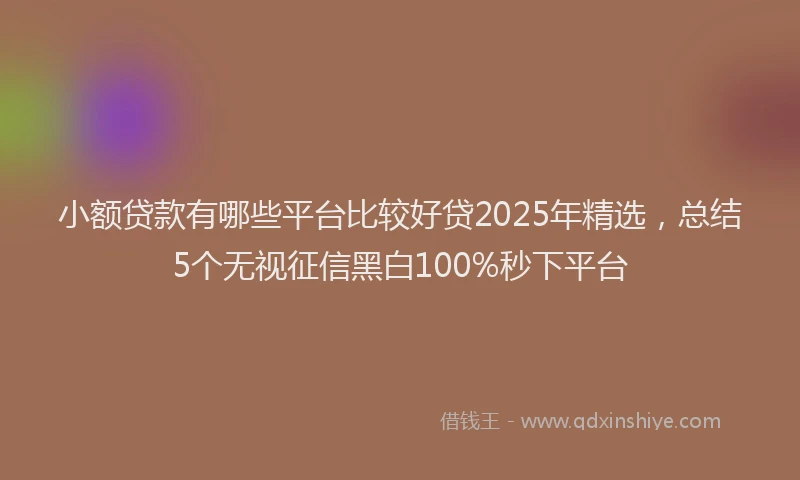 小额贷款有哪些平台比较好贷2025年精选，总结5个无视征信黑白100%秒下平台