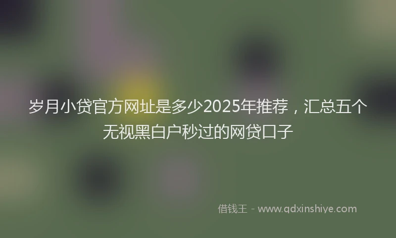 岁月小贷官方网址是多少2025年推荐，汇总五个无视黑白户秒过的网贷口子