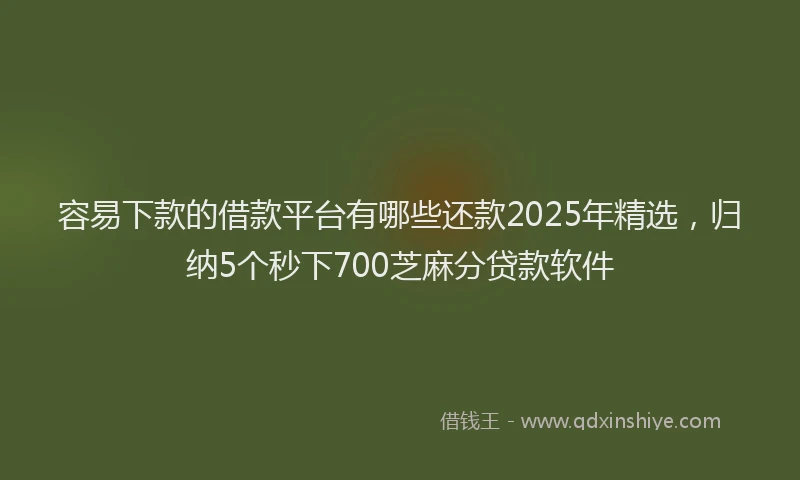 容易下款的借款平台有哪些还款2025年精选，归纳5个秒下700芝麻分贷款软件