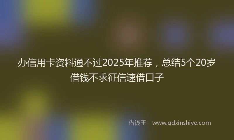 办信用卡资料通不过2025年推荐，总结5个20岁借钱不求征信速借口子