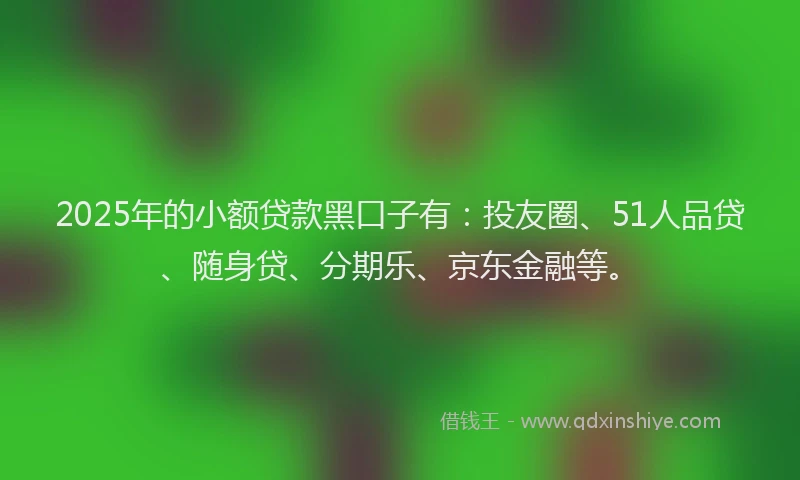 2025年的小额贷款黑口子有：投友圈、51人品贷、随身贷、分期乐、京东金融等。