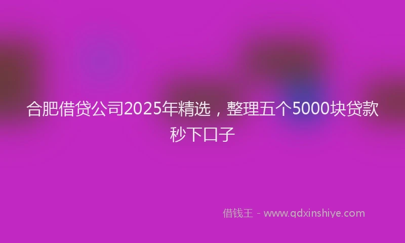 合肥借贷公司2025年精选，整理五个5000块贷款秒下口子