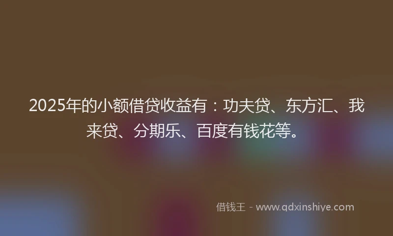 2025年的小额借贷收益有：功夫贷、东方汇、我来贷、分期乐、百度有钱花等。
