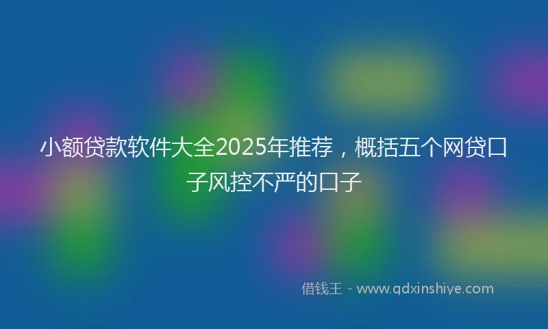 小额贷款软件大全2025年推荐，概括五个网贷口子风控不严的口子