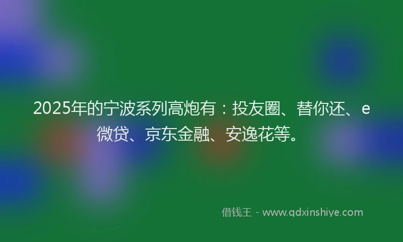 2025年的宁波系列高炮有：投友圈、替你还、e微贷、京东金融、安逸花等。