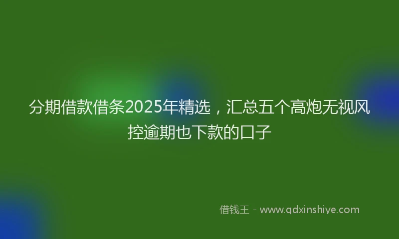 分期借款借条2025年精选，汇总五个高炮无视风控逾期也下款的口子