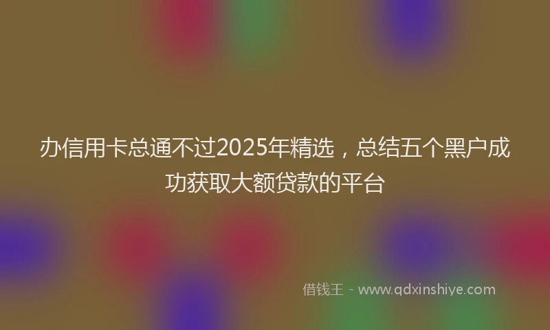 办信用卡总通不过2025年精选，总结五个黑户成功获取大额贷款的平台