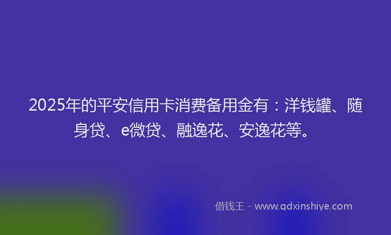 2025年的平安信用卡消费备用金有：洋钱罐、随身贷、e微贷、融逸花、安逸花等。