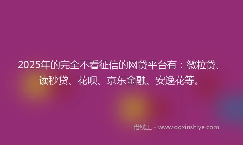 2025年的完全不看征信的网贷平台有：微粒贷、读秒贷、花呗、京东金融、安逸花等。