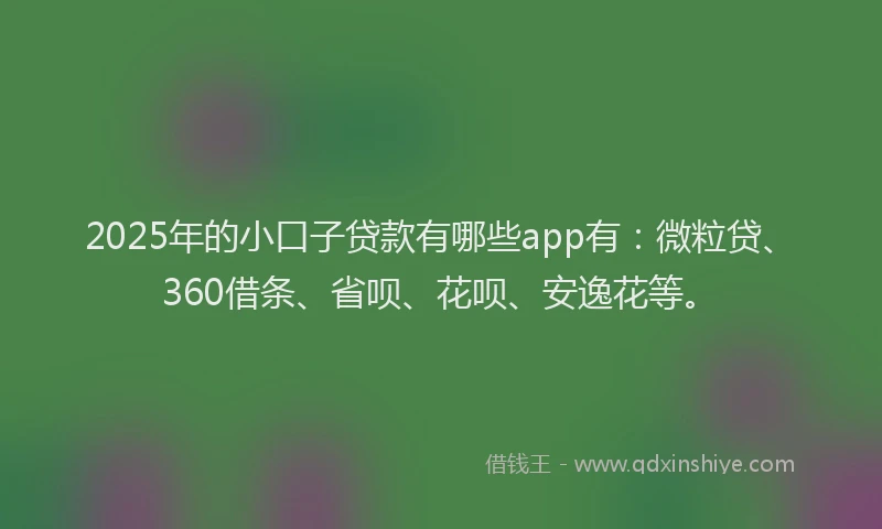 2025年的小口子贷款有哪些app有：微粒贷、360借条、省呗、花呗、安逸花等。