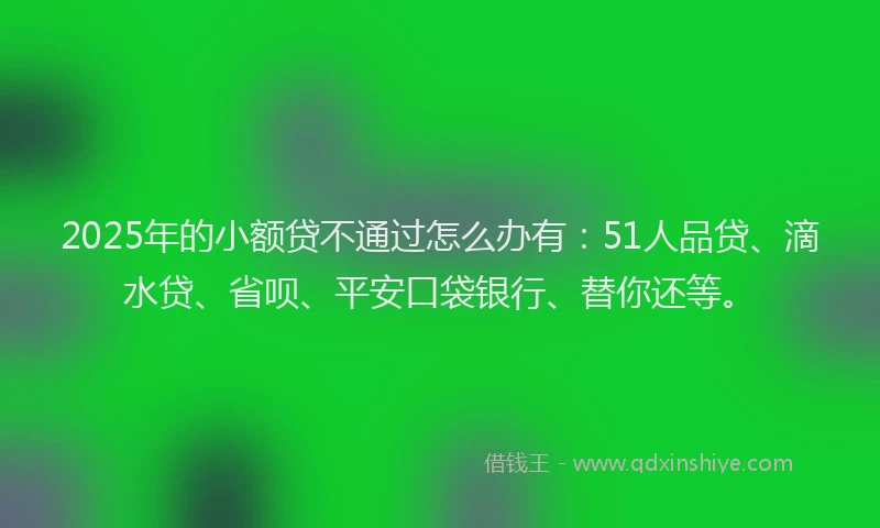 2025年的小额贷不通过怎么办有：51人品贷、滴水贷、省呗、平安口袋银行、替你还等。