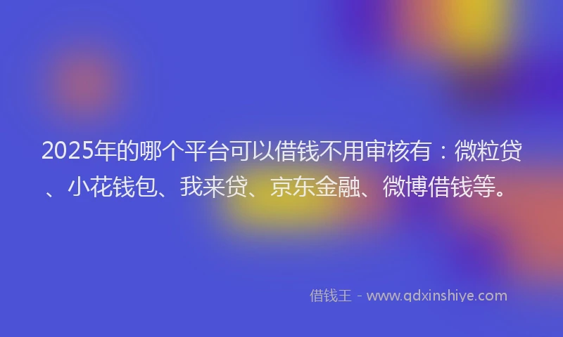 2025年的哪个平台可以借钱不用审核有：微粒贷、小花钱包、我来贷、京东金融、微博借钱等。