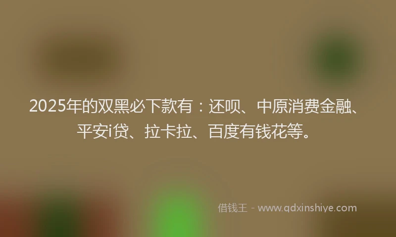 2025年的双黑必下款有：还呗、中原消费金融、平安i贷、拉卡拉、百度有钱花等。