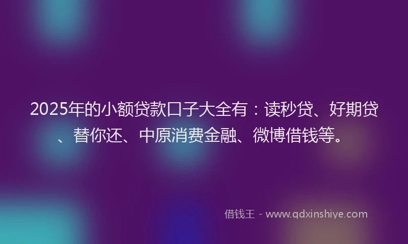 2025年的小额贷款口子大全有：读秒贷、好期贷、替你还、中原消费金融、微博借钱等。