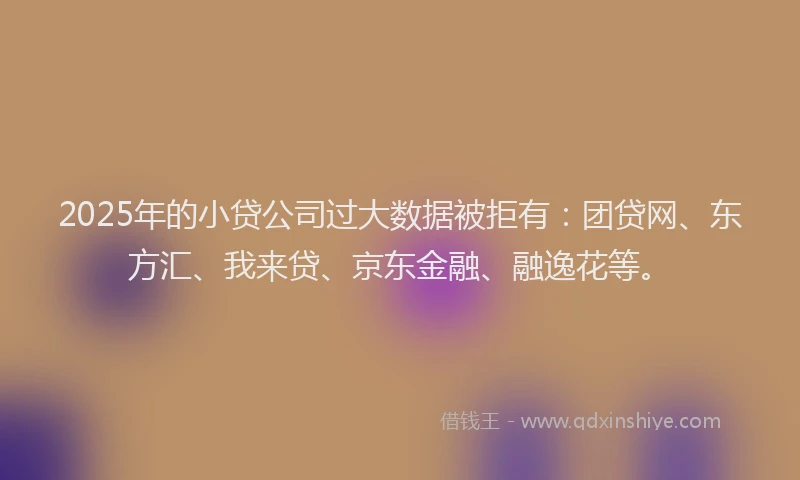 2025年的小贷公司过大数据被拒有：团贷网、东方汇、我来贷、京东金融、融逸花等。
