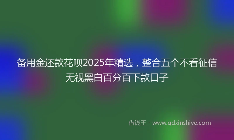 备用金还款花呗2025年精选，整合五个不看征信无视黑白百分百下款口子