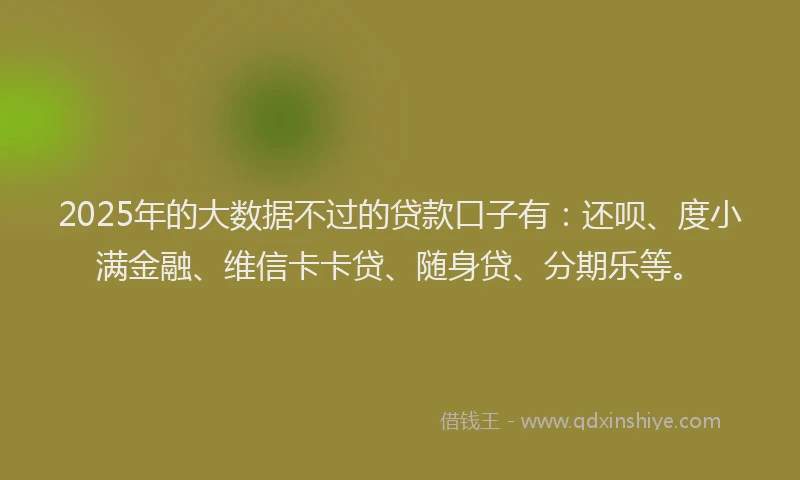 2025年的大数据不过的贷款口子有：还呗、度小满金融、维信卡卡贷、随身贷、分期乐等。