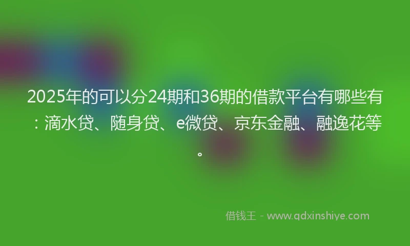2025年的可以分24期和36期的借款平台有哪些有：滴水贷、随身贷、e微贷、京东金融、融逸花等。