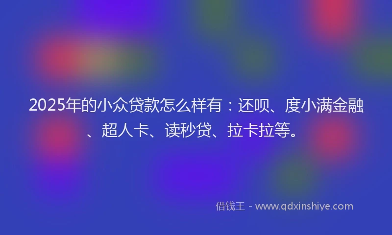 2025年的小众贷款怎么样有：还呗、度小满金融、超人卡、读秒贷、拉卡拉等。