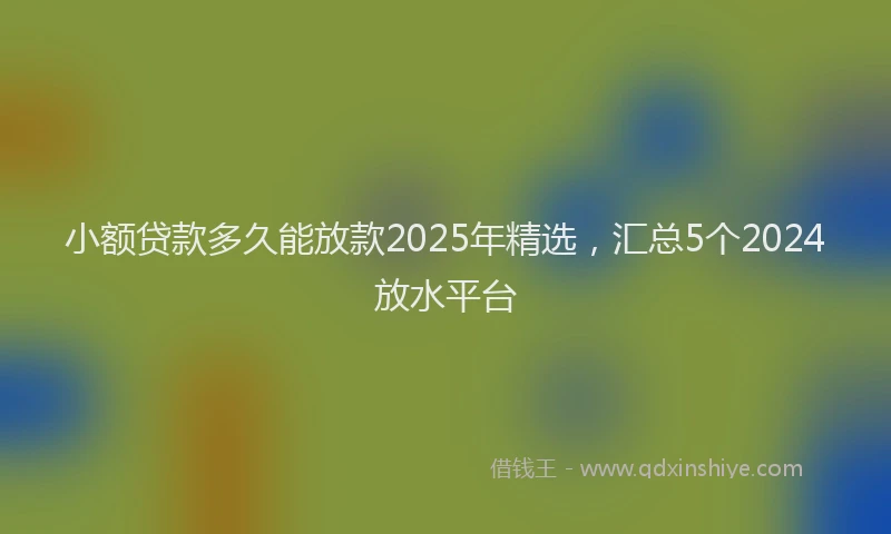 小额贷款多久能放款2025年精选，汇总5个2024放水平台
