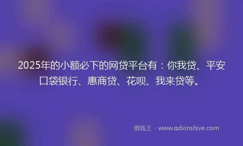 2025年的小额必下的网贷平台有：你我贷、平安口袋银行、惠商贷、花呗、我来贷等。