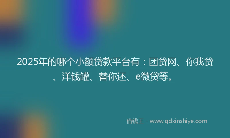 2025年的哪个小额贷款平台有：团贷网、你我贷、洋钱罐、替你还、e微贷等。