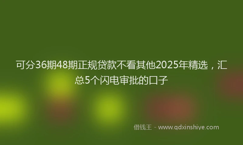 可分36期48期正规贷款不看其他2025年精选，汇总5个闪电审批的口子