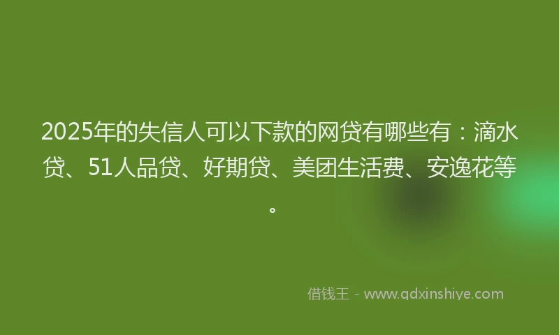2025年的失信人可以下款的网贷有哪些有：滴水贷、51人品贷、好期贷、美团生活费、安逸花等。