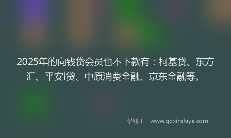 2025年的向钱贷会员也不下款有：柯基贷、东方汇、平安i贷、中原消费金融、京东金融等。