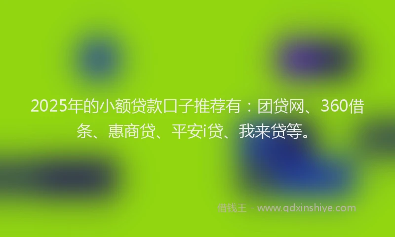 2025年的小额贷款口子推荐有：团贷网、360借条、惠商贷、平安i贷、我来贷等。