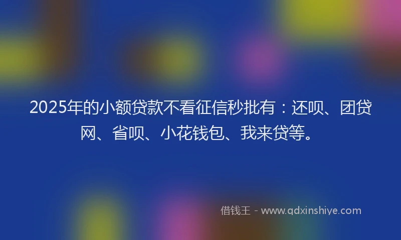 2025年的小额贷款不看征信秒批有：还呗、团贷网、省呗、小花钱包、我来贷等。