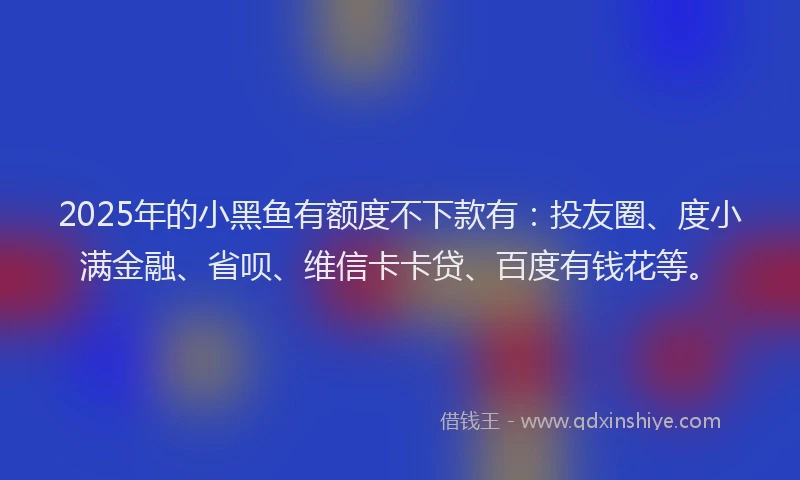2025年的小黑鱼有额度不下款有：投友圈、度小满金融、省呗、维信卡卡贷、百度有钱花等。